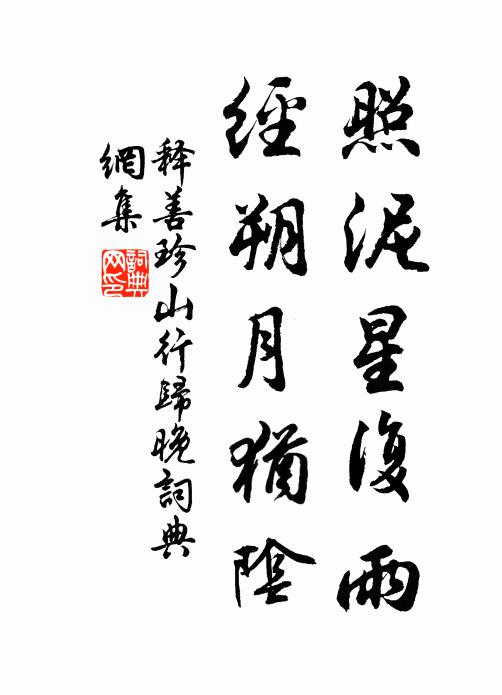 释善珍照泥星复雨，经朔月犹阴书法作品欣赏