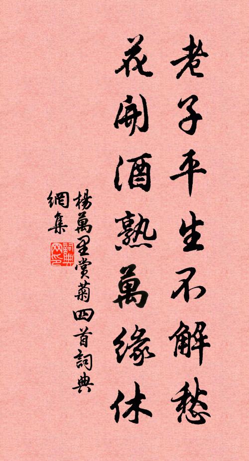 杨万里老子平生不解愁，花开酒熟万缘休书法作品欣赏