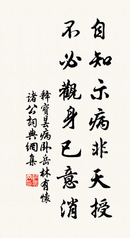 释宝昙自知示病非天授，不必观身已意消书法作品欣赏
