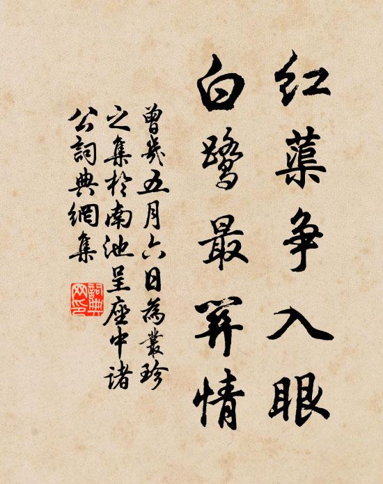 曾几红蕖争入眼，白鹭最关情书法作品欣赏