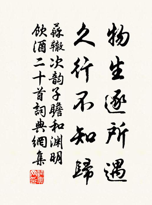 苏辙物生逐所遇，久行不知归书法作品欣赏