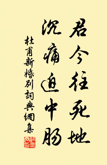 杜甫君今往死地，沉痛迫中肠书法作品欣赏