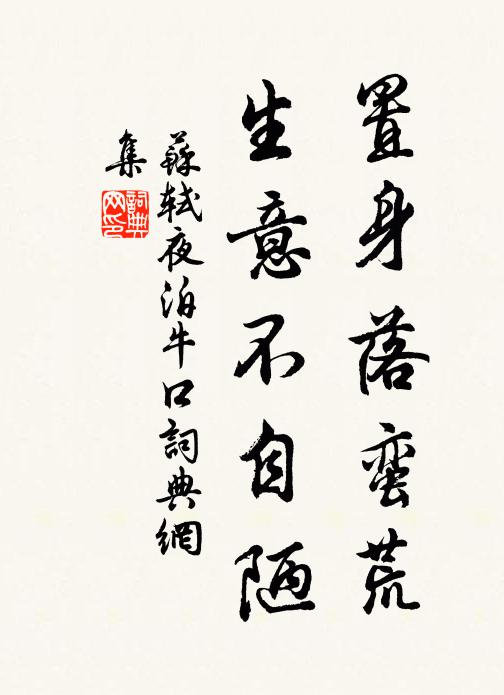 苏轼置身落蛮荒，生意不自陋书法作品欣赏