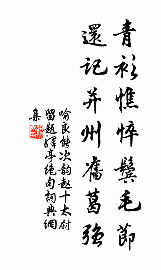 喻良能青衫憔悴鬓毛节，还记并州旧葛强书法作品欣赏