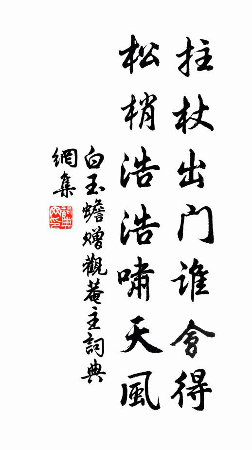 白玉蟾拄杖出门谁会得，松梢浩浩啸天风书法作品欣赏