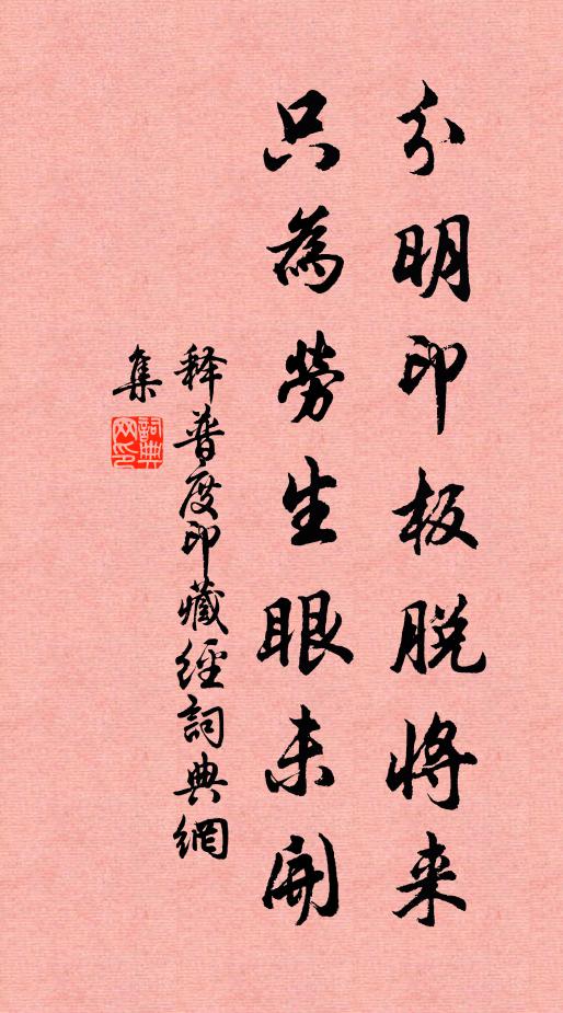 释普度分明印板脱将来，只为劳生眼未开书法作品欣赏