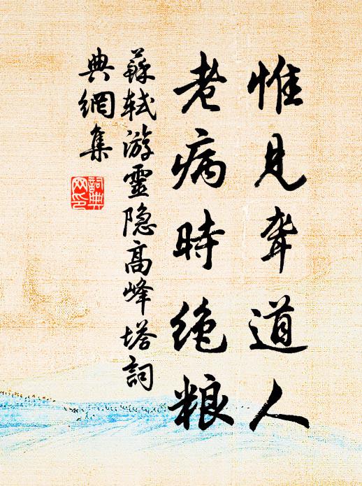 苏轼惟见聋道人，老病时绝粮书法作品欣赏