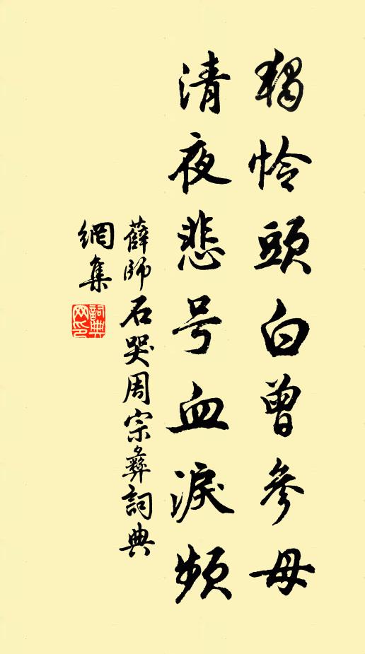 薛师石独怜头白曾参母，清夜悲号血泪频书法作品欣赏