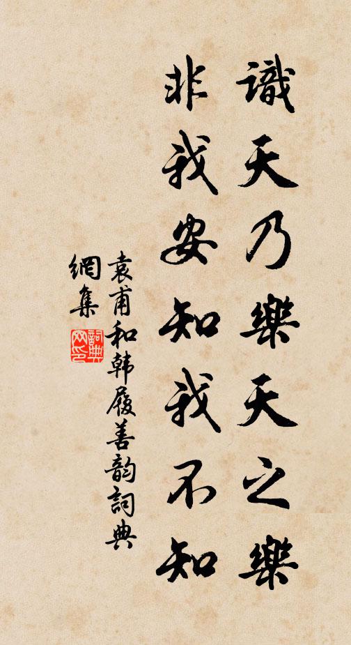 袁甫识天乃乐天之乐，非我安知我不知书法作品欣赏