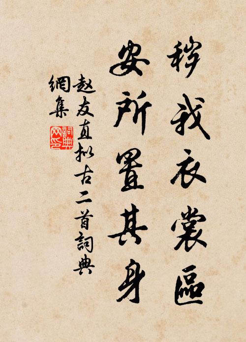 赵友直秽我衣裳区，安所置其身书法作品欣赏
