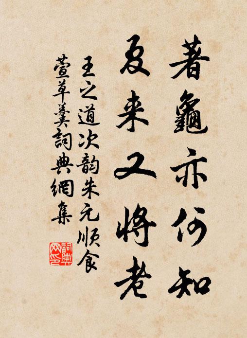 王之道著龟亦何知，夏来又将老书法作品欣赏