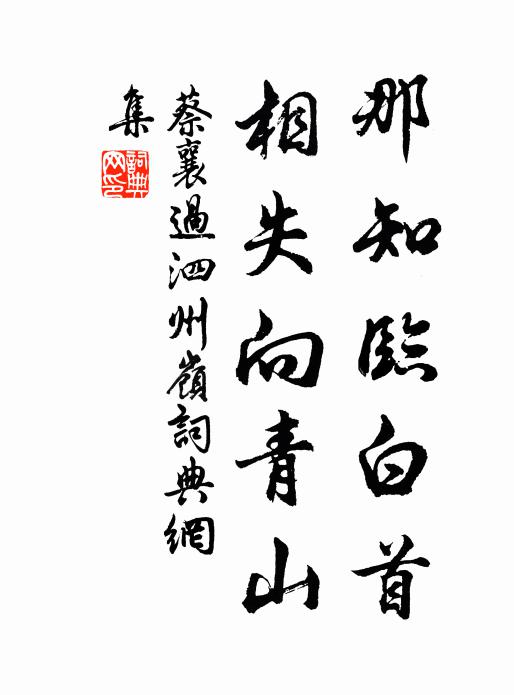 蔡襄那知临白首，相失向青山书法作品欣赏