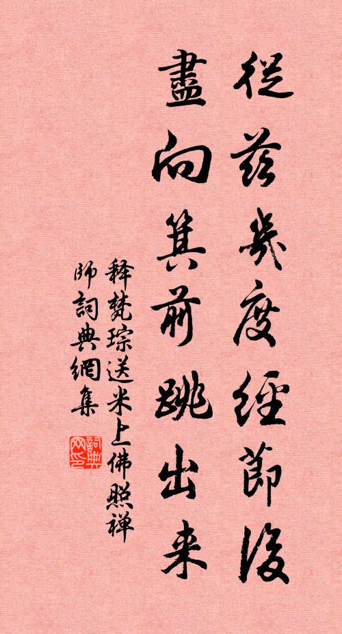 释梵琮从兹几度经节后，尽向箕前跳出来书法作品欣赏