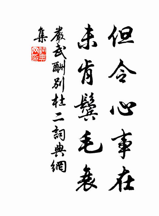 严武但令心事在，未肯鬓毛衰书法作品欣赏