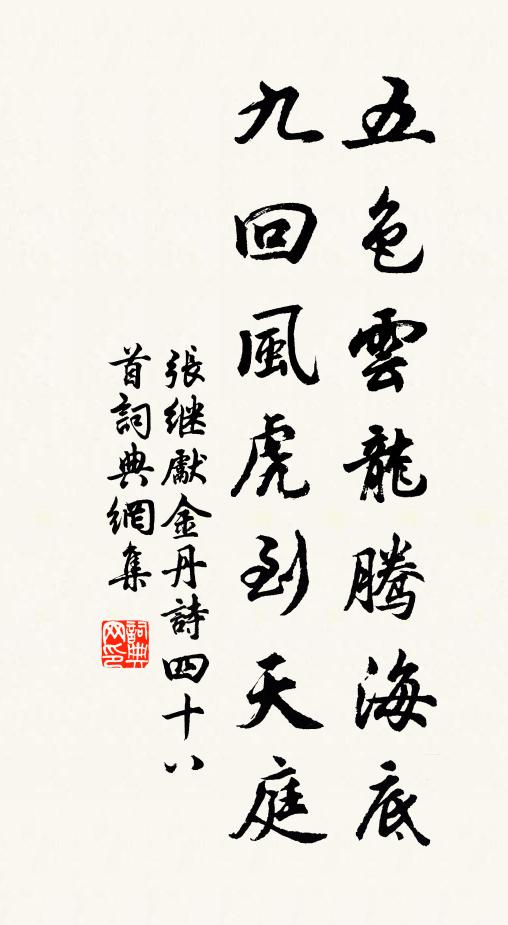 张继先五色云龙腾海底，九回风虎到天庭书法作品欣赏