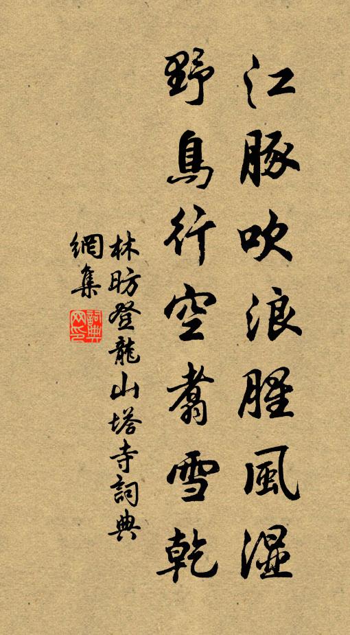 林昉江豚吹浪腥风湿，野鸟行空翥雪乾书法作品欣赏