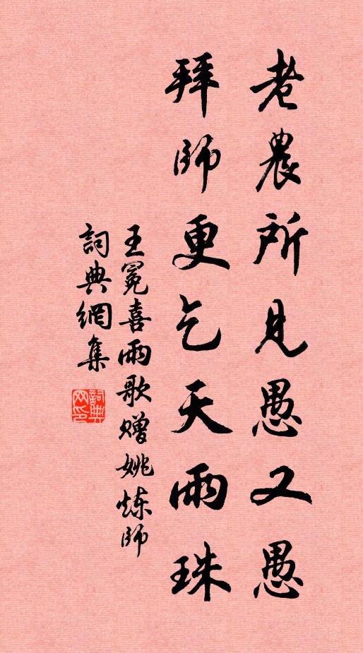 王冕老农所见愚又愚，拜师更乞天雨珠书法作品欣赏