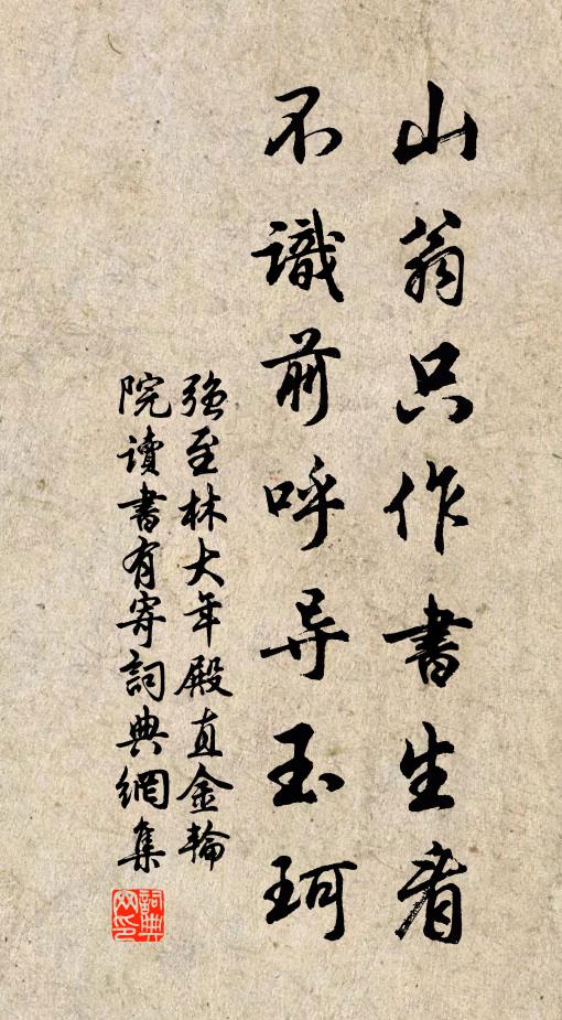 强至山翁只作书生看，不识前呼导玉珂书法作品欣赏