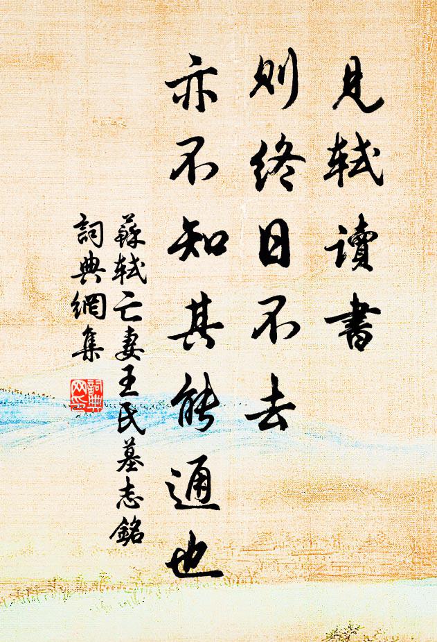 苏轼见轼读书,则终日不去,亦不知其能通也书法作品欣赏