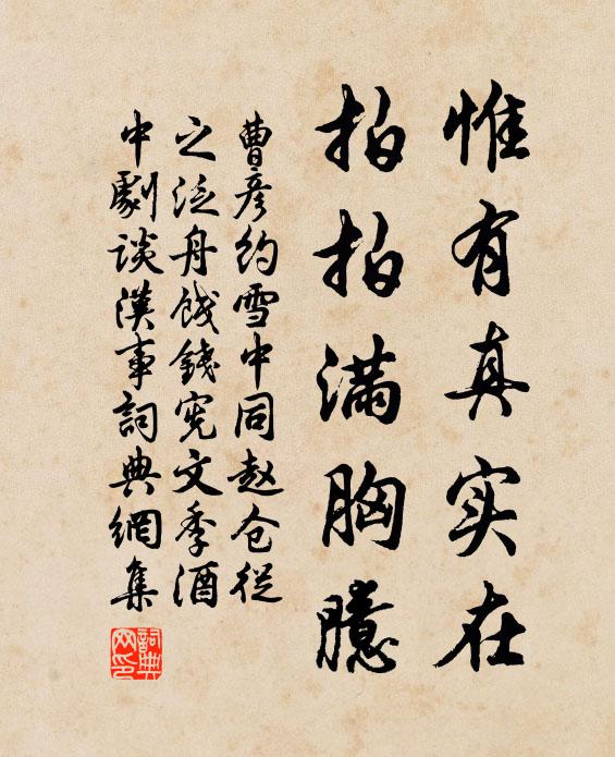 曹彦约惟有真实在,拍拍满胸臆书法作品欣赏