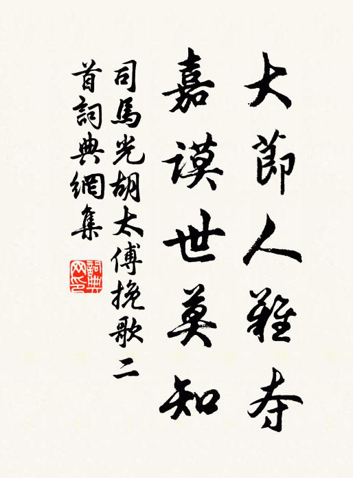 司马光大节人难夺，嘉谟世莫知书法作品欣赏