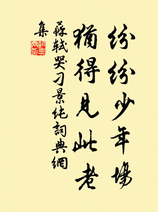苏轼纷纷少年场，犹得见此老书法作品欣赏
