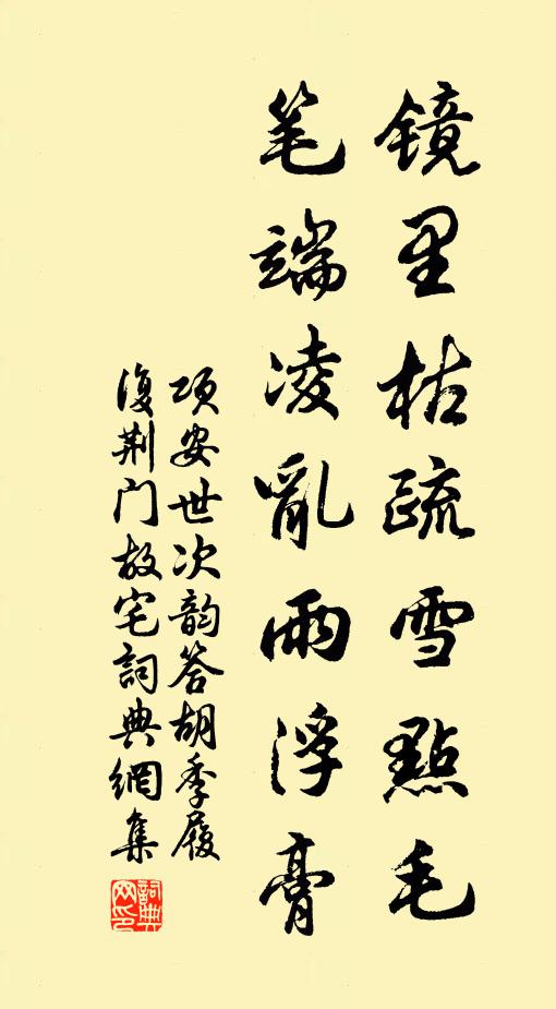 项安世镜里枯疏雪点毛，笔端凌乱雨浮膏书法作品欣赏