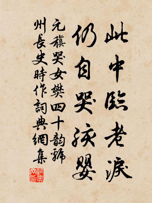 元稹此中临老泪,仍自哭孩婴书法作品欣赏