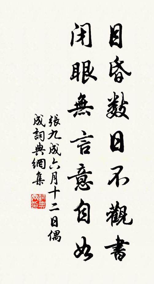 张九成目昏数日不观书，闭眼无言意自如书法作品欣赏