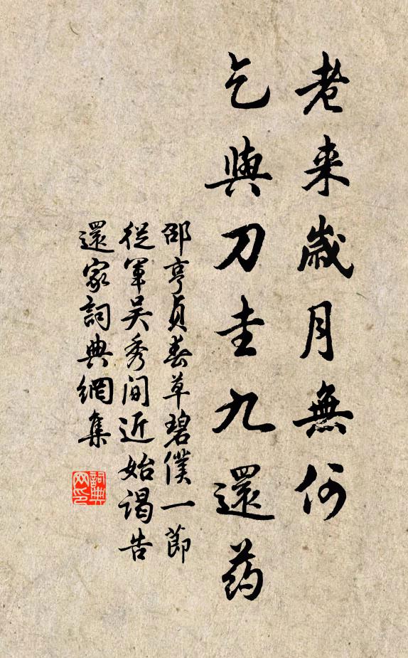 邵亨贞老来岁月无何，乞与刀圭九还药书法作品欣赏
