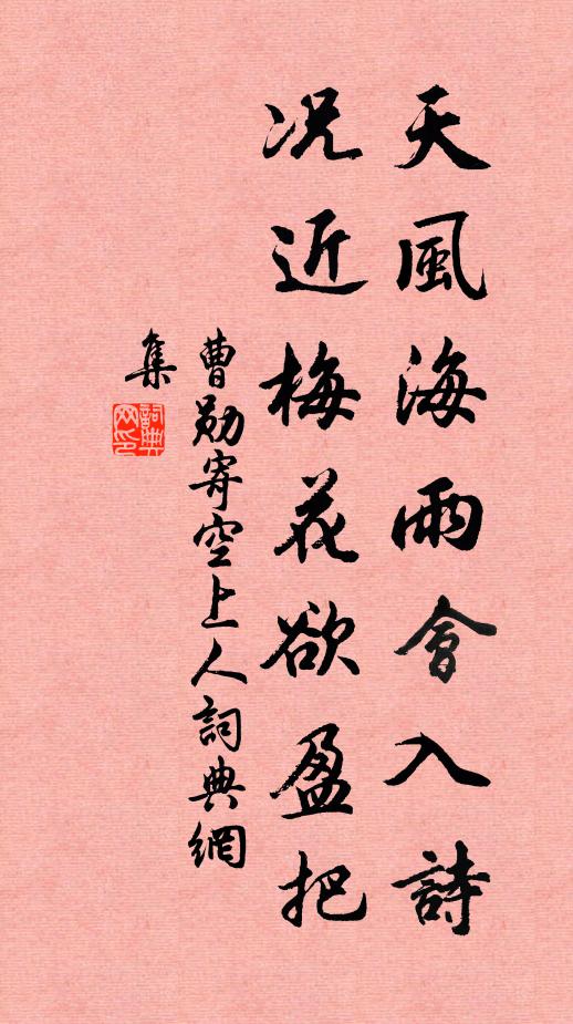 曹勋天风海雨会入诗，况近梅花欲盈把书法作品欣赏