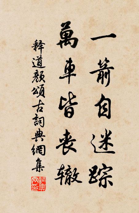 释道颜一箭自迷踪，万车皆丧辙书法作品欣赏