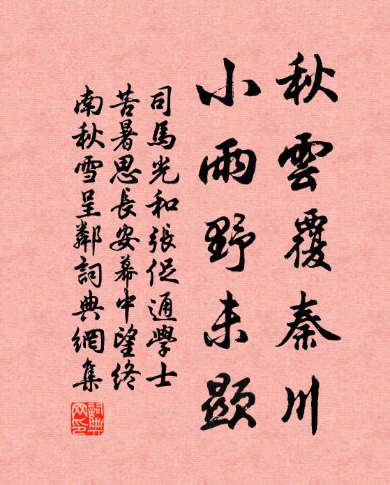 司马光秋云覆秦川，小雨野未显书法作品欣赏