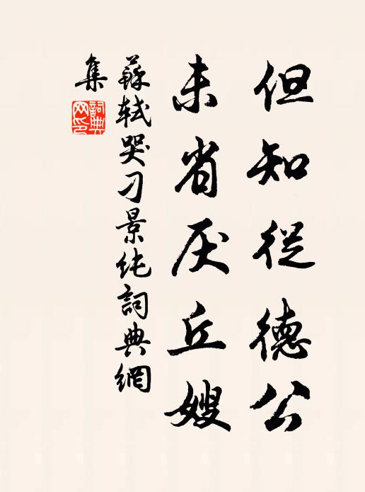 苏轼但知从德公，未省厌丘嫂书法作品欣赏