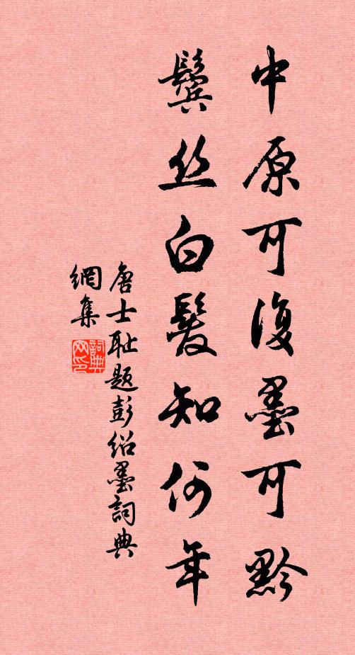唐士耻中原可复墨可黔，鬓丝白发知何年书法作品欣赏
