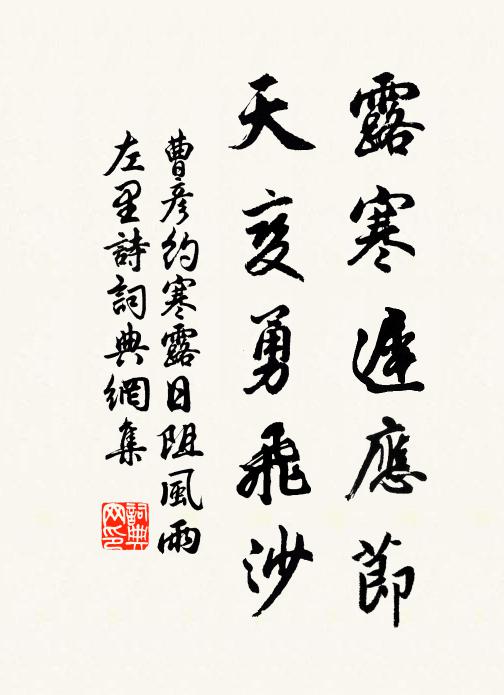 曹彦约露寒迟应节，天变勇飞沙书法作品欣赏