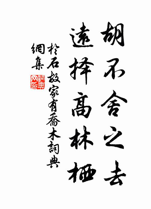 于石胡不舍之去，远择高林栖书法作品欣赏