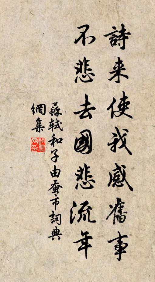 苏轼诗来使我感旧事，不悲去国悲流年书法作品欣赏