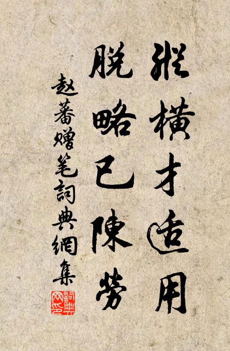 赵蕃纵横才适用，脱略已陈劳书法作品欣赏