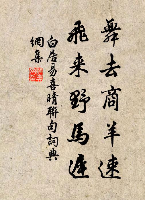 白居易舞去商羊速，飞来野马迟书法作品欣赏