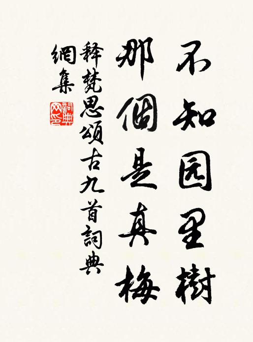 释梵思不知园里树，那个是真梅书法作品欣赏