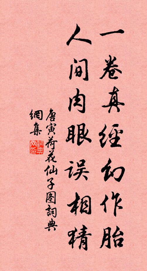 唐寅一卷真经幻作胎，人间肉眼误相猜书法作品欣赏