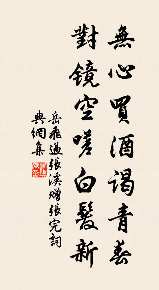 岳飞无心买酒谒青春，对镜空嗟白发新书法作品欣赏