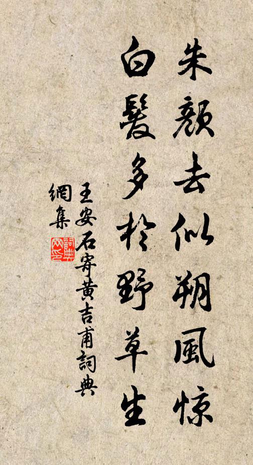 王安石朱颜去似朔风惊，白发多於野草生书法作品欣赏