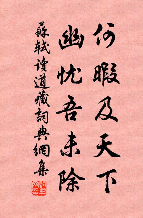 苏轼何暇及天下，幽忧吾未除书法作品欣赏