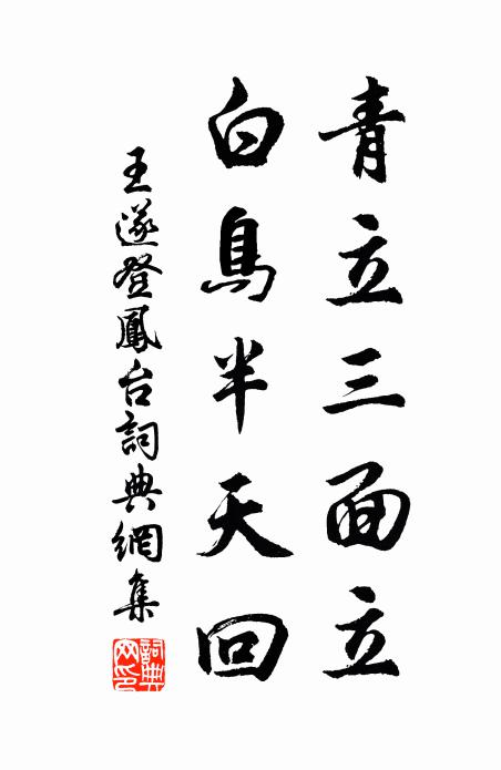 王遂青立三面立，白鸟半天回书法作品欣赏