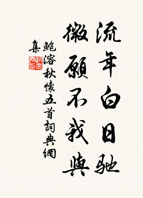 鲍溶流年白日驰,微愿不我与书法作品欣赏