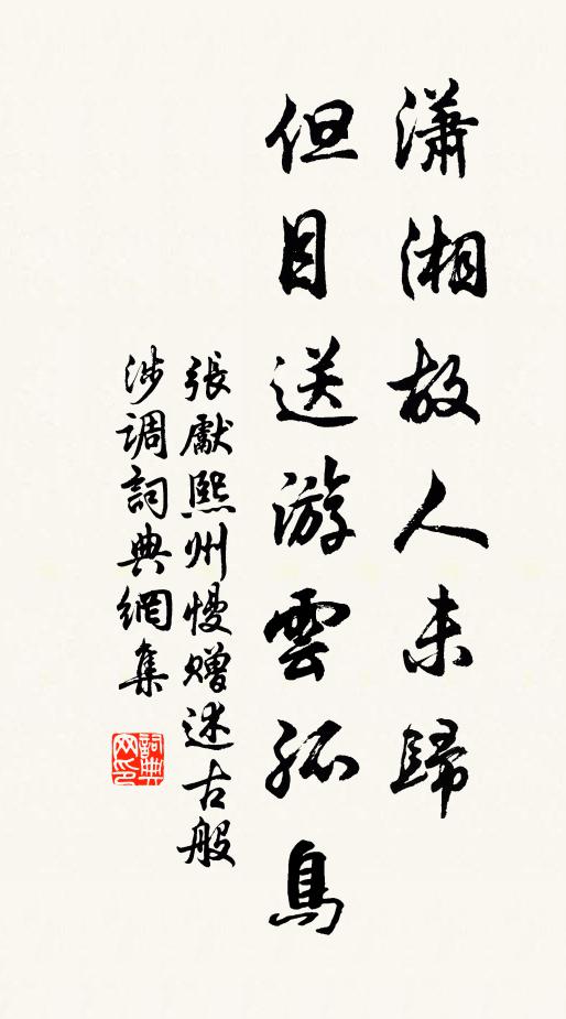 张先潇湘故人未归，但目送游云孤鸟书法作品欣赏