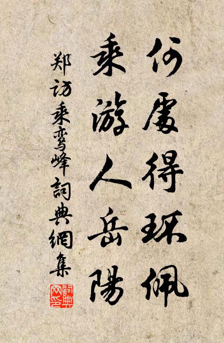 郑访何处得环佩，乘游人岳阳书法作品欣赏