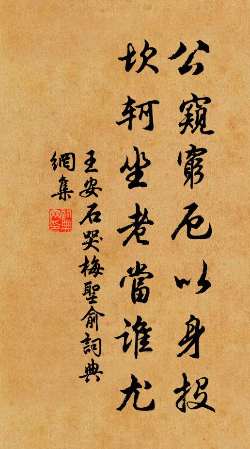 王安石公窥穷厄以身投，坎轲坐老当谁尤书法作品欣赏